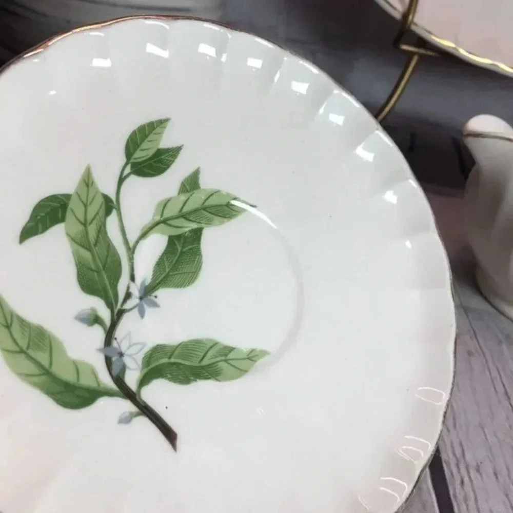 vtg 1950s W.S. GEORGE Bolero Dinnerware Cottagecore floral mid-century classic